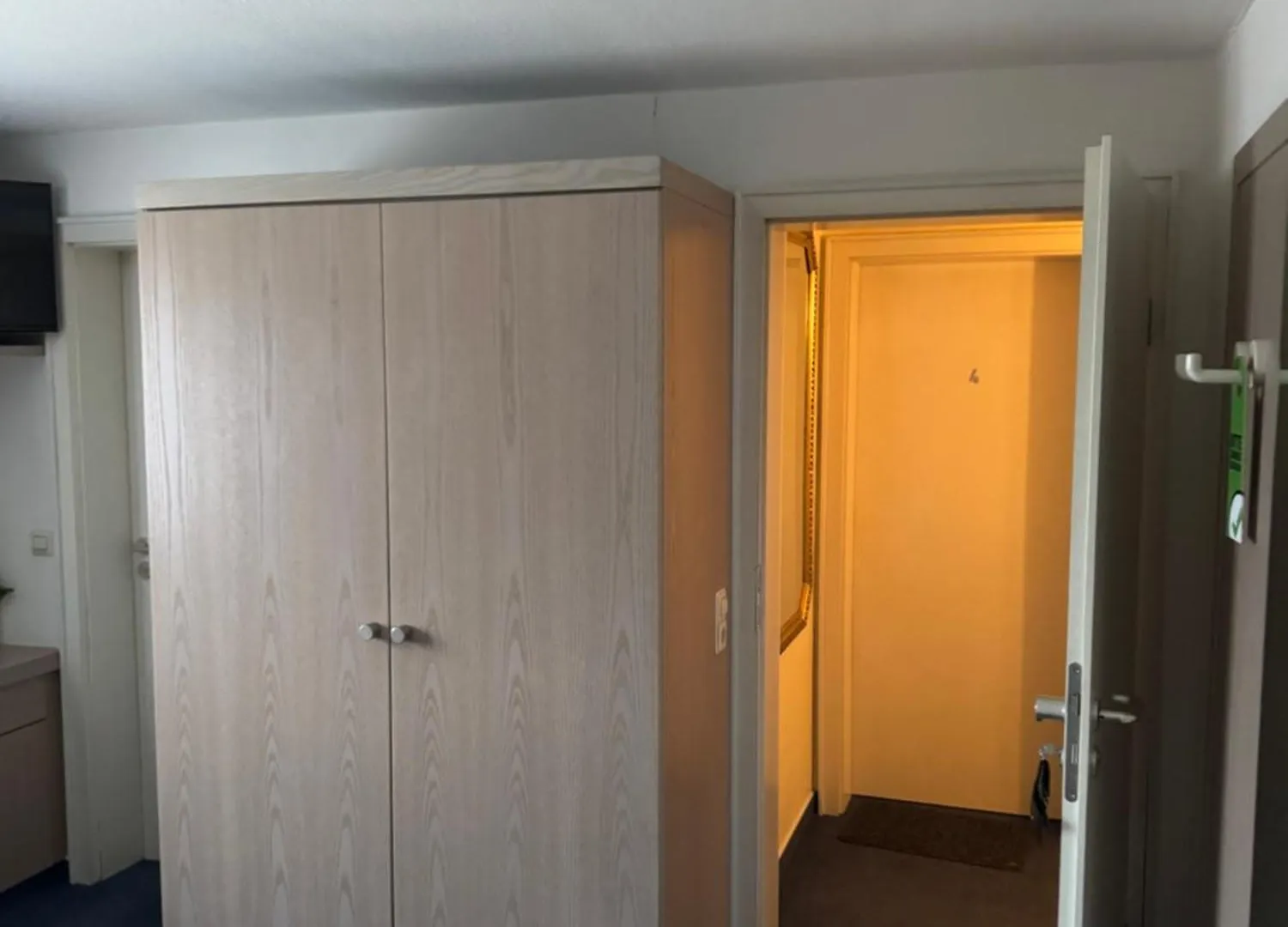 Hotel Gruener Baum Rastatt 0*,